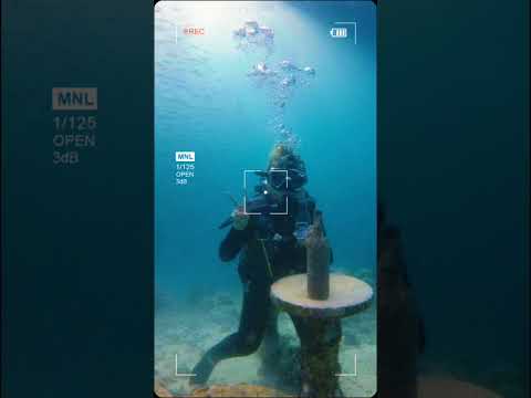 Escape to Moalboal: Cebu&#039;s Beach and Dive Haven